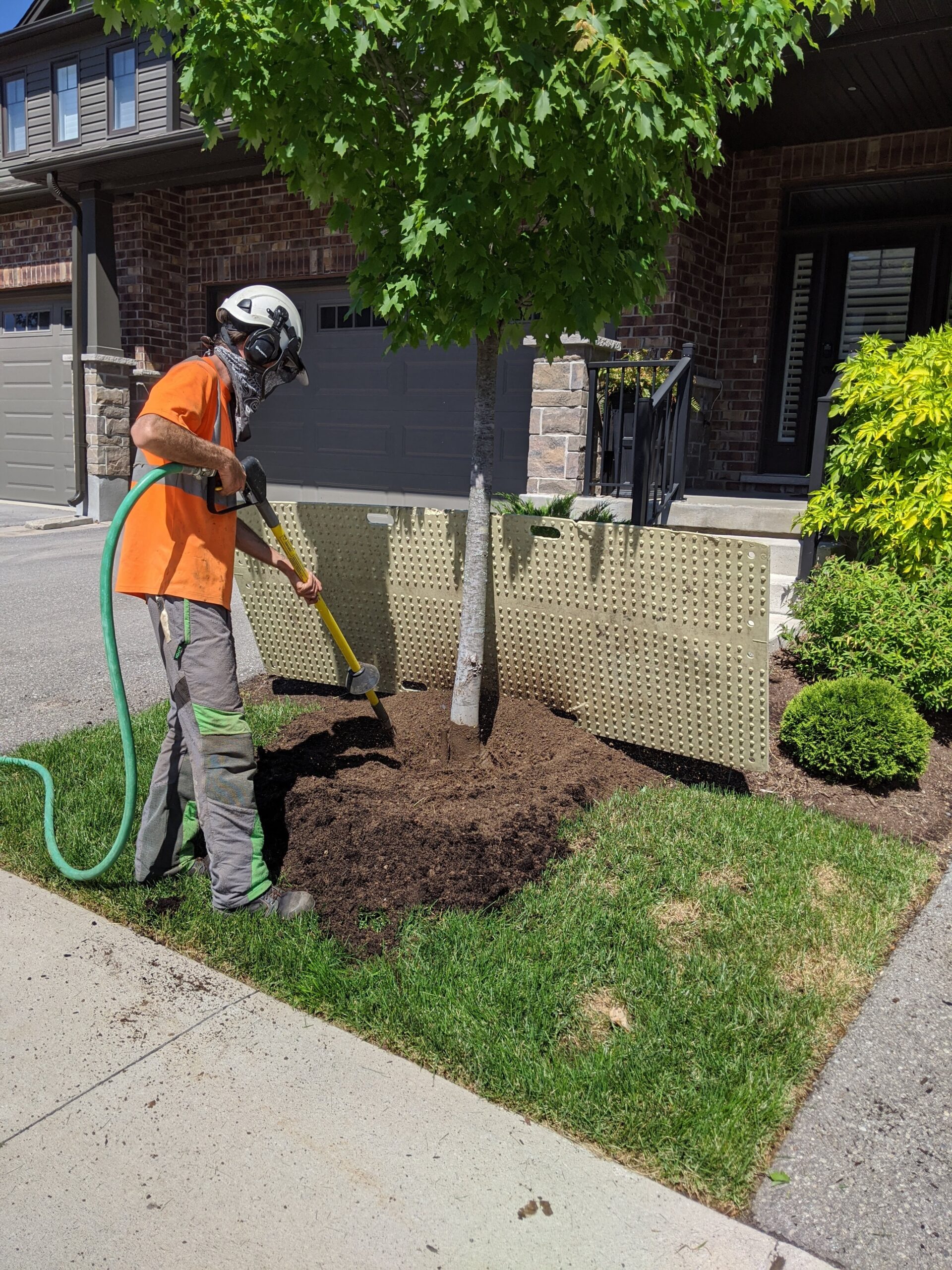 allgreen tree service worker with air spade tending soil